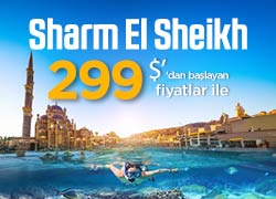 sharm